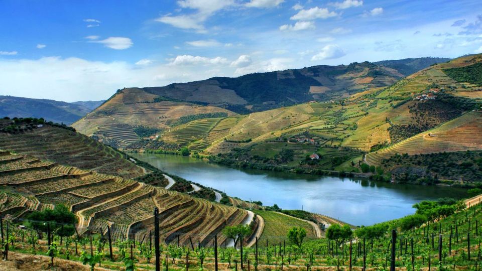 Douro Valley: Full-Day Private Tour From Porto - Booking Information