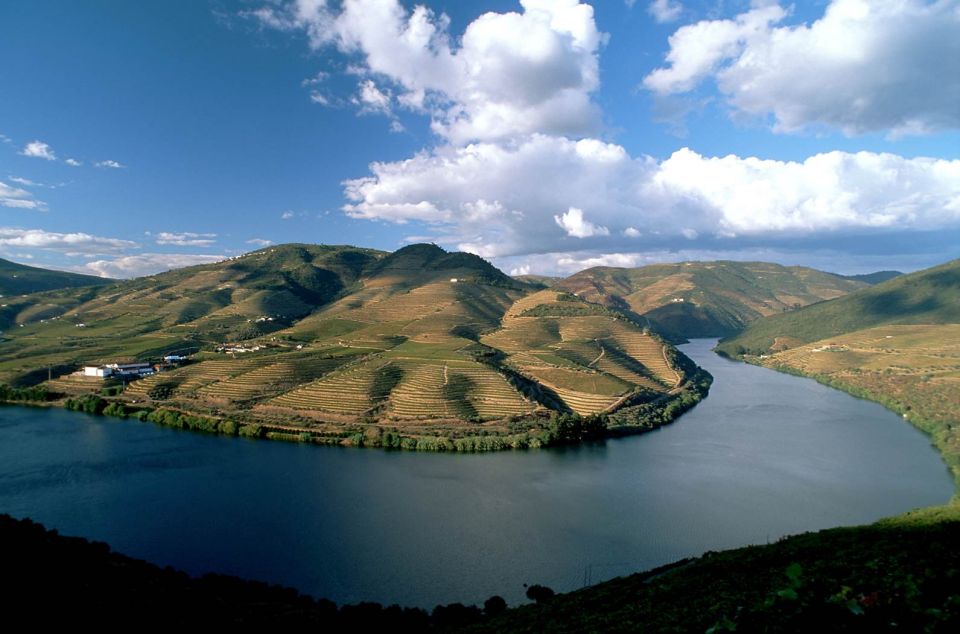 Douro Valley: Full-Day Private Wine Tour With Lunch - Meal Options and Language