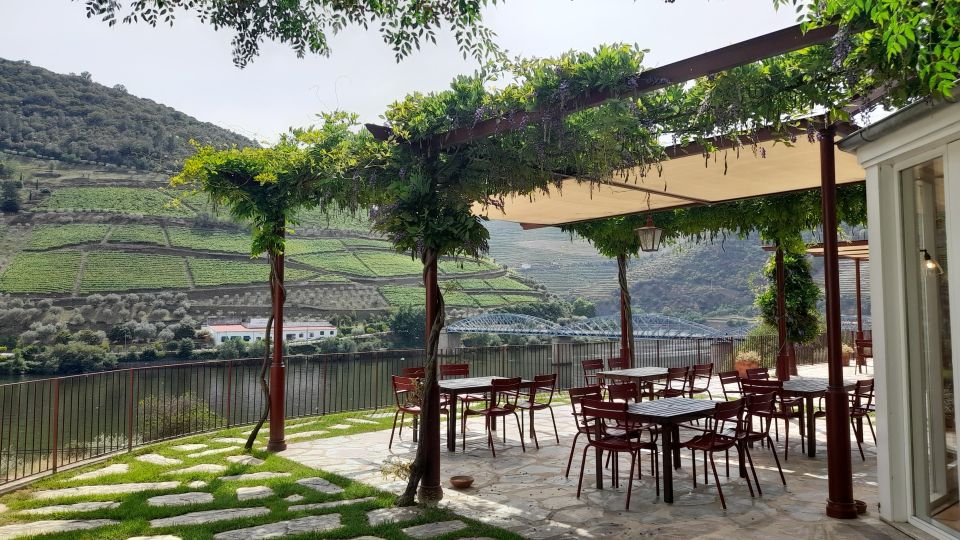 Douro Valley Private Tour From Braga: Lunch & Wine Tour - Activity Highlights on Tour