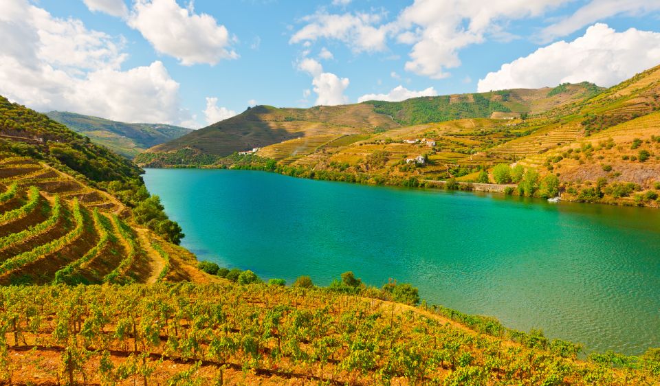 Douro Valley Private Tour With 2 Wine Tastings - Prominent Winery Visits