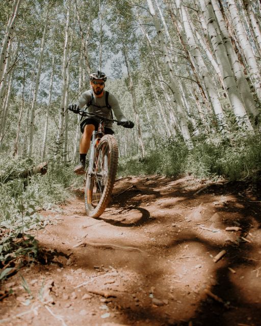 Downhill Mountain Biking in Kitulgala - Activity Description