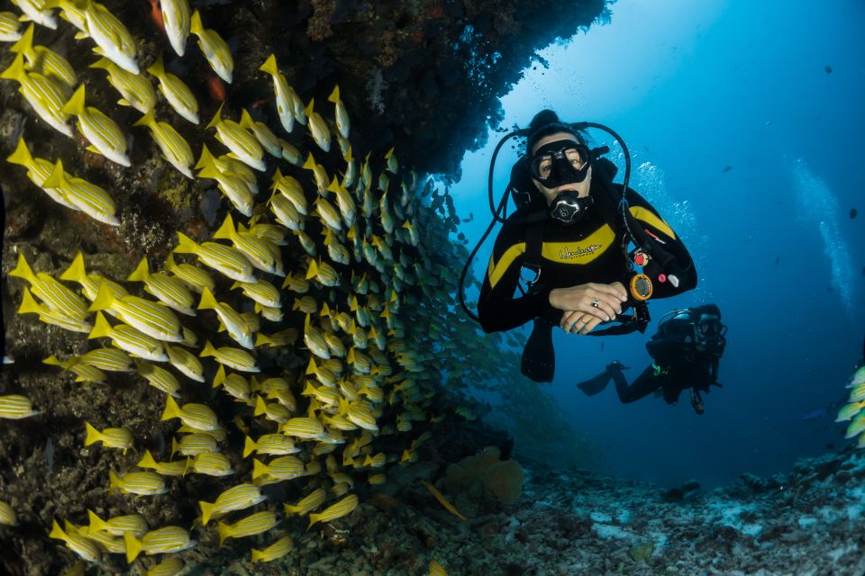 DSD Discover Scuba Diving for a Beginner Orcertified - Activity Inclusions