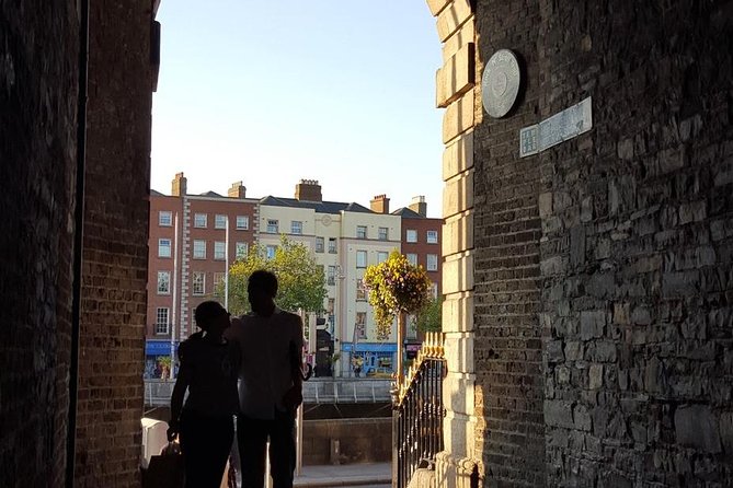 Dublin City Walking Tour Incl. Book of Kells, Castle and More - Traveler Reviews Overview