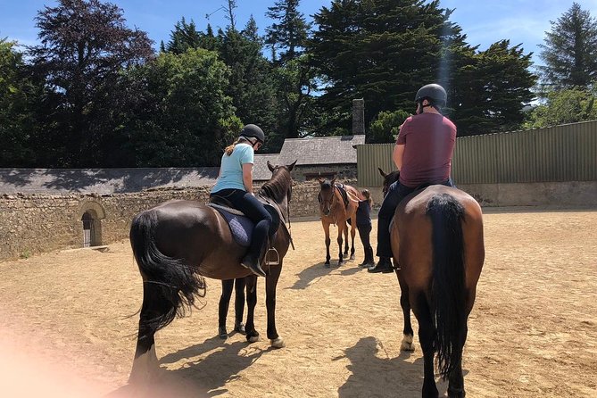 Dublin to Wicklow and Glendalough Guided Tours With Horse Riding - Common questions