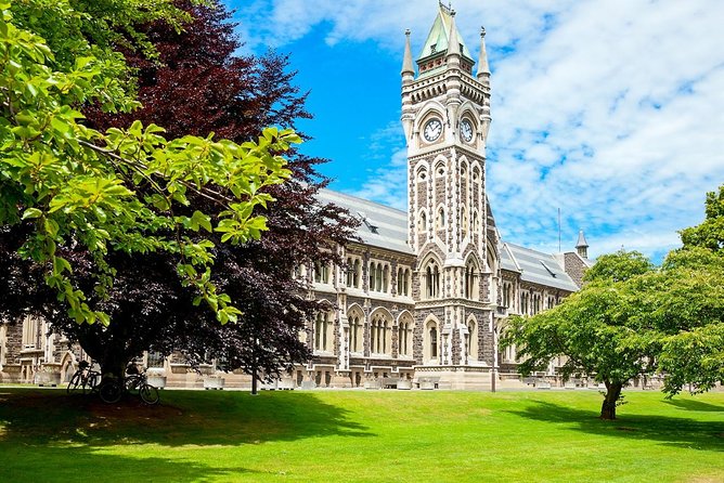 Dunedin City and Coastal Views 3-Hour Small-Group Guided Tour - Logistics and Meeting Points