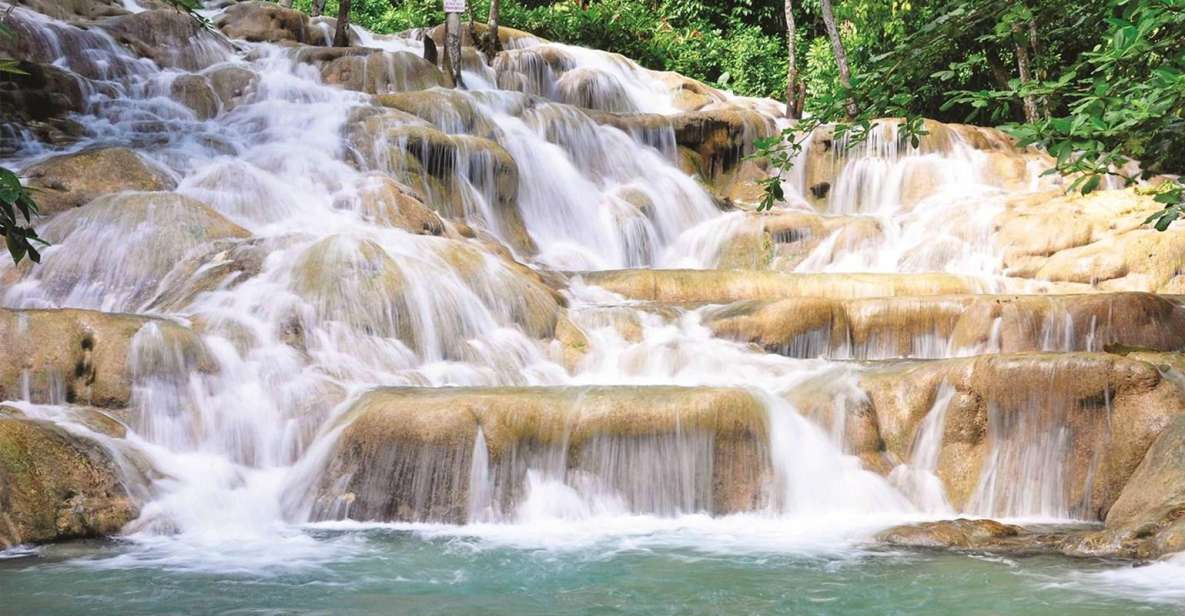 Dunn's River Falls and Luminous Lagoon With Transportation - Full Description