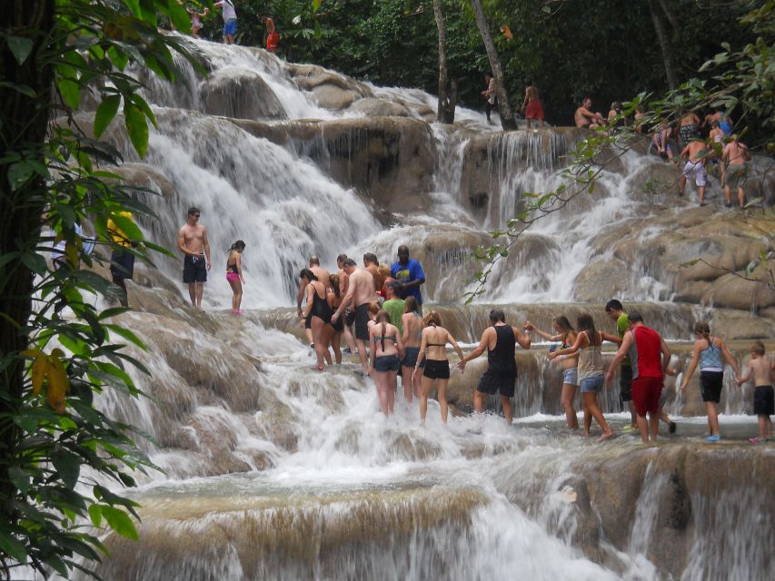 Dunn's River Falls Climb and Private Transportation - Experience Highlights