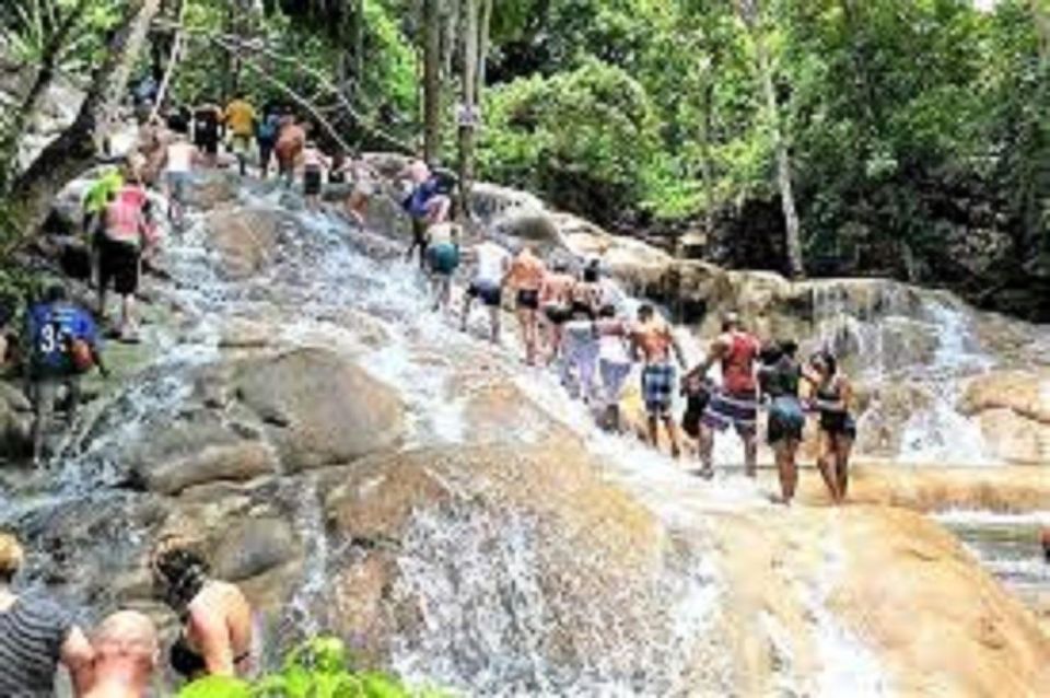 Dunn's River Falls Day Tour - Customer Reviews