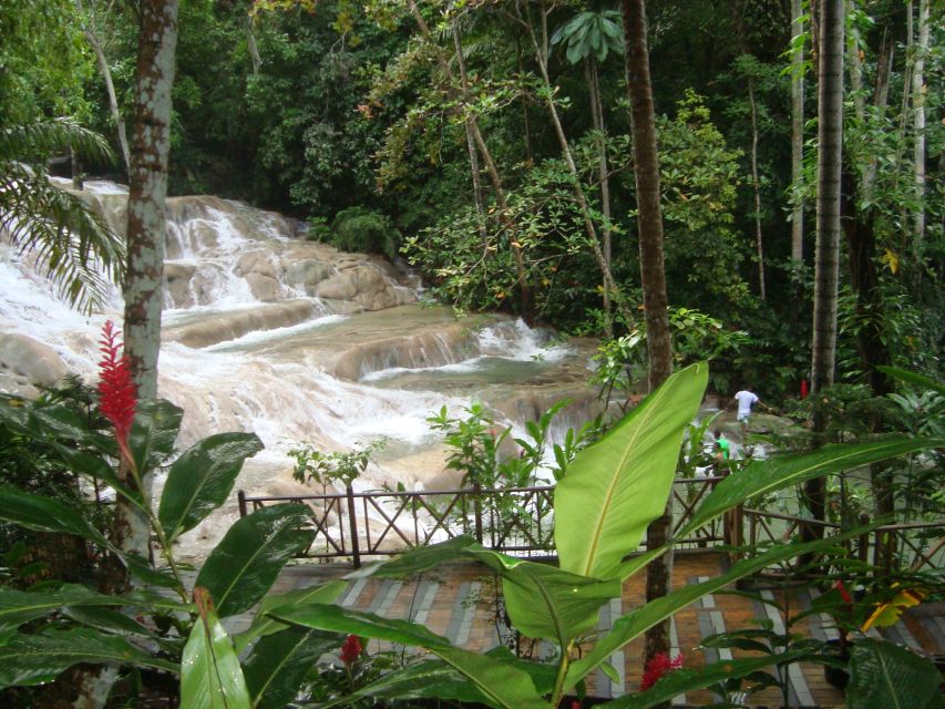 Dunn's River Falls: Tour From Montego Bay, RB, Ocho Rios - Experience Highlights