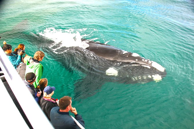 Dunsborough Whale Watching Eco Tour - Logistics Details