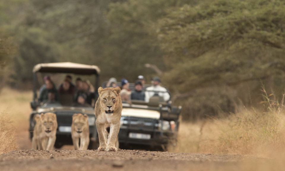 Durban: Full-Day Big 5 Safari @ Manyoni Private Game Reserve - Safari Itinerary Breakdown