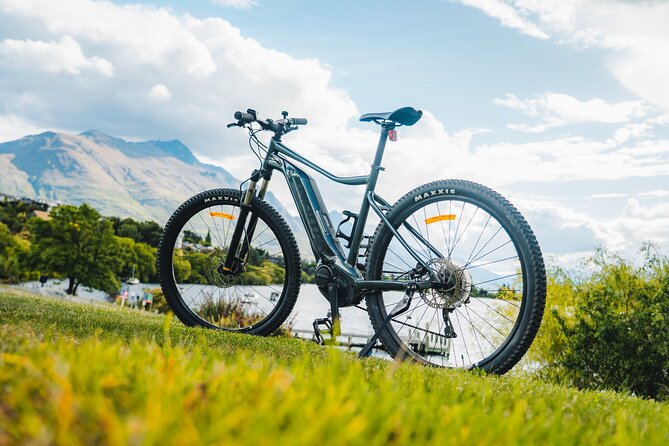 E-Bike Adventures Through the Wineries in Gibbston - Tasting Sessions and Wine Pairings