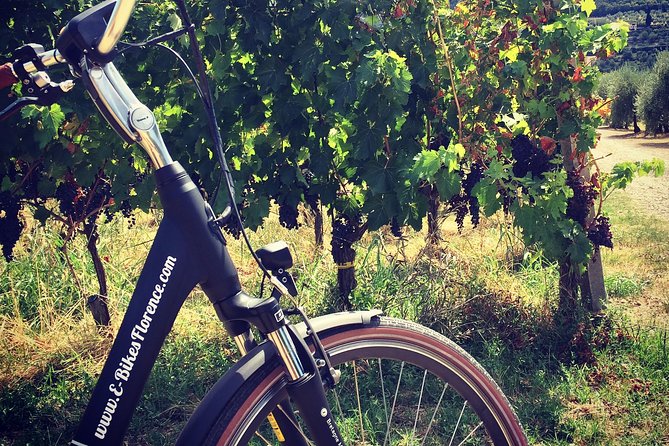 E-Bike Florence Tuscany Ride With Vineyard Visit - Viator Platform and Product Details