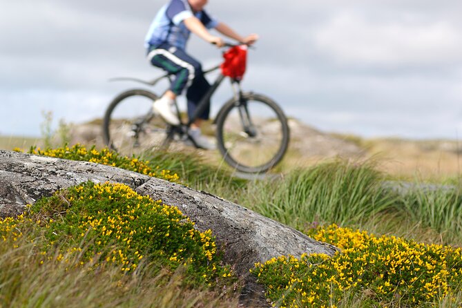 E-Bike on Inishbofin Island, Connemara Coast. Self Guided. Full Day. - Safety Measures and Equipment Provided