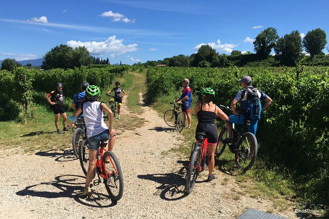 E-Bike Tour and Wine Tasting in Lazise - Scenic Views and Wine Tasting Experience