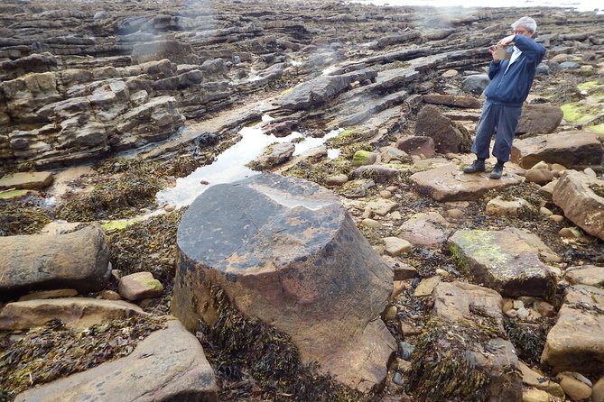 East Neuk Treasures Tour From St Andrews - Summary and Highlights