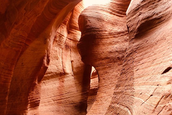 East Zion 2 Hour Slot Canyon Canyoneering UTV Tour - Safety and Weather Considerations