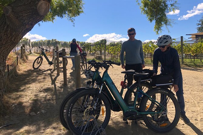 Ebike Tour Lake Dunstan Wine Tasting - Food and Beverage Offerings