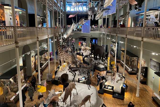 Edinburgh National Museum of Scotland Highlights Guided Tour - Visitor Reviews and Ratings