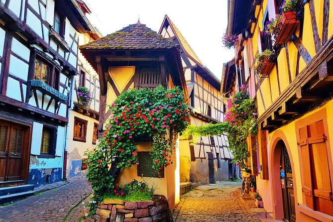 Eguisheim, Kayserberg, Ribeauville, and Riquewihr Private Tour  - Colmar - Contact and Questions