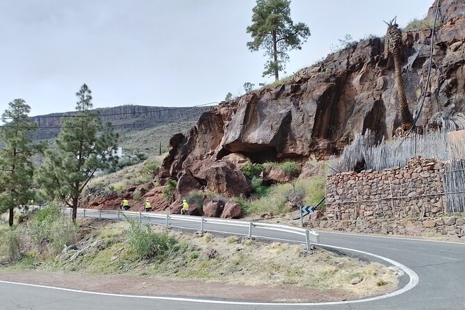 Electric Bike Mountain Tour Optional Tapas in an Aboriginal Cave - Booking and Cancellation Policy