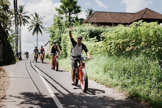Electric Bike Tour in Ubud - Benefits of Electric Bikes