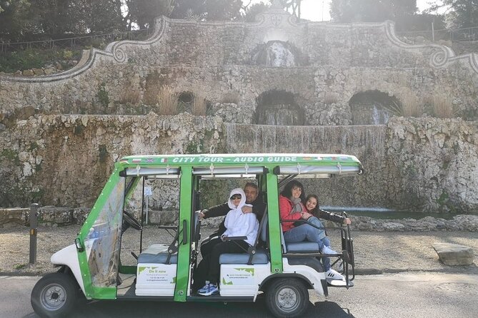 Electric Cart Tour of Florence - Fitness and Accessibility