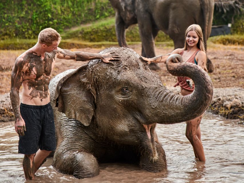 Elephant Care Experience With Mud Bath at Bali Zoo - Upgrades Available