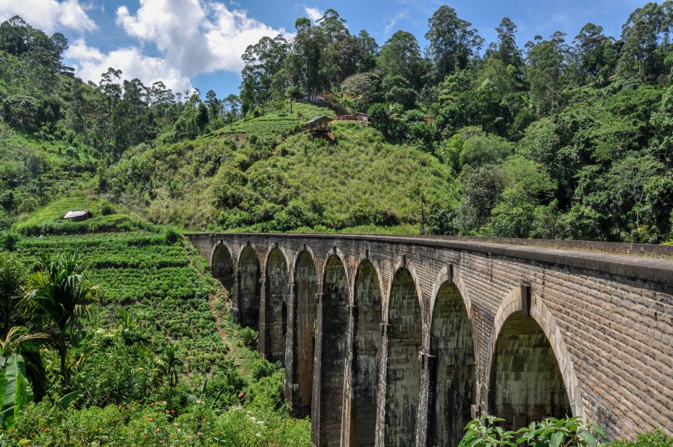 Ella: 9 Arch Bridge, Ella Rock, & Little Adam'S Peak Tour - Booking Details