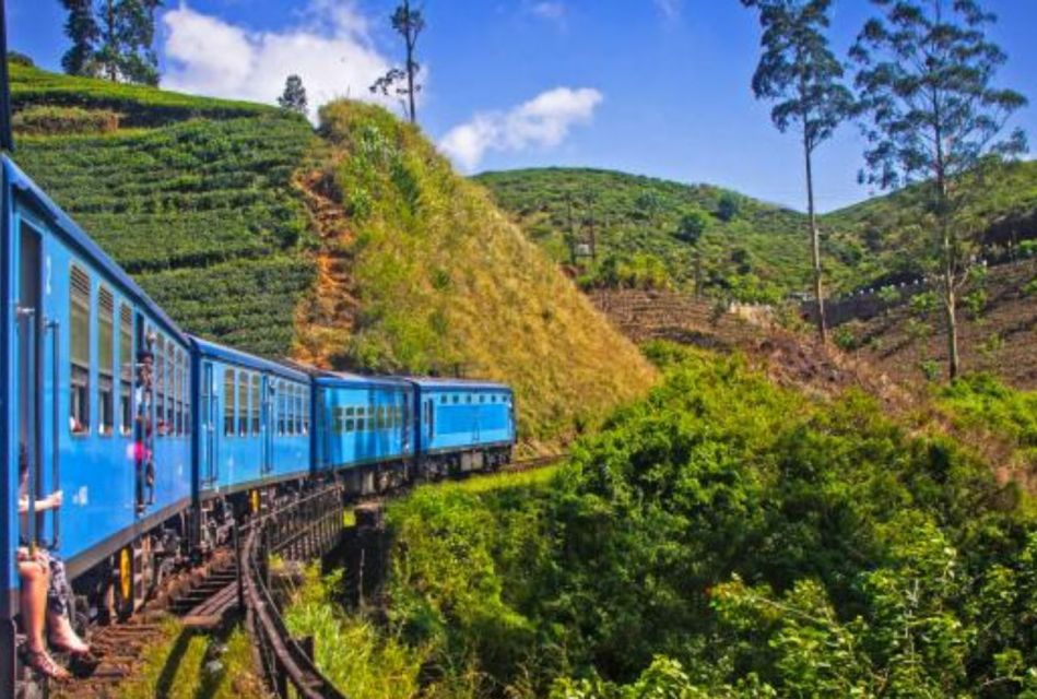 Ella to Horton Plains With Bakers Falls & Train Delights - Participant Information