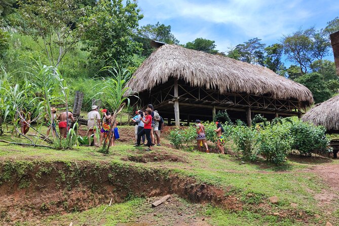 Embera Indigenous Tribe & River Tour With Lunch Included - Customer Reviews & Feedback Summary