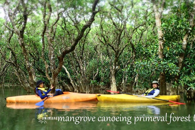 Enjoy a Private Mangrove Canoe in Amami – a Special Journey in Nature - Meeting and Pickup Options
