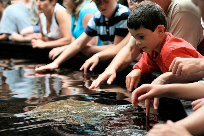 Entrance Ticket Nausicaa, the Biggest Aquarium in Europe - Visiting Nausicaa With Kids