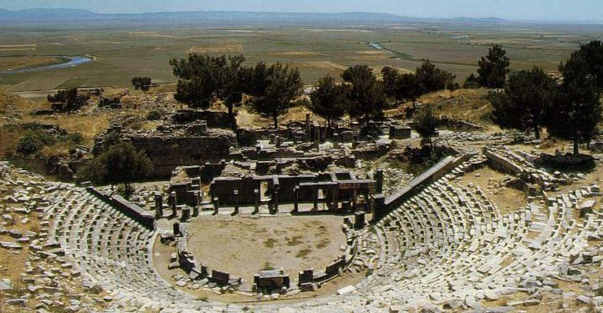 Ephesus, Priene, Miletos and Didyma Tour - Experience Overview