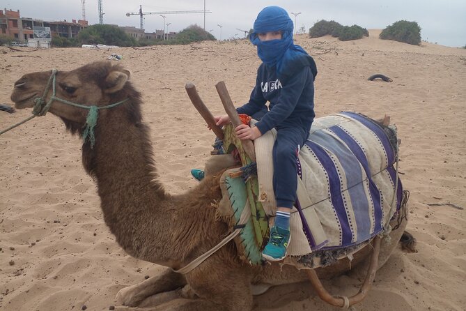 Essaouira: an Unforgettable 2 Hour Ride on a Camel - Booking and General Information