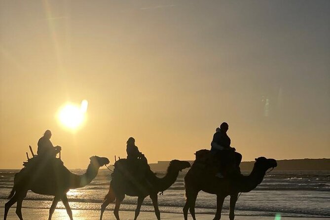 Essaouira Private Camel Ride (1 Hour). - Booking Information