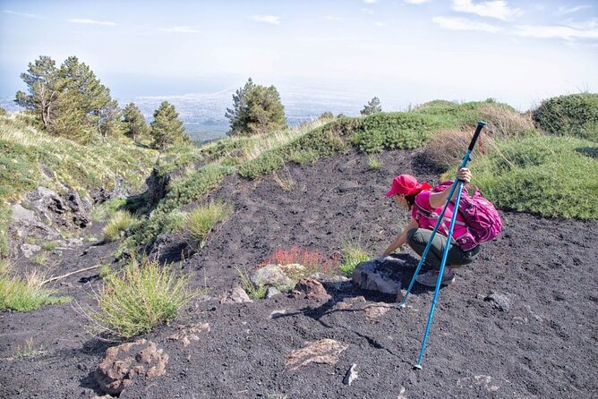 Etna Family Tour Excursion for Families With Children on Etna - Itinerary Highlights