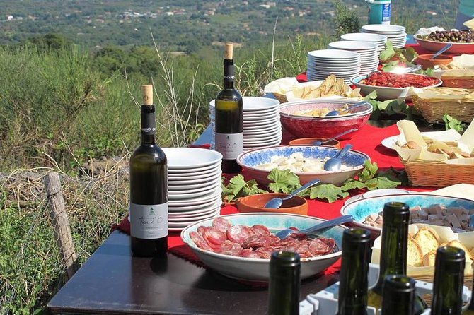 Etna Private Tour From Messina Cruise Terminal Lunch at Winery - Cancellation Policy