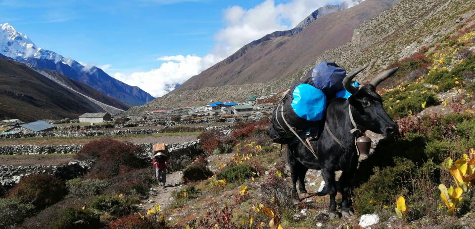 Everest Base Camp - Chola Pass - Gokyo Lake Trek - 15 Days - Physical Fitness Requirements