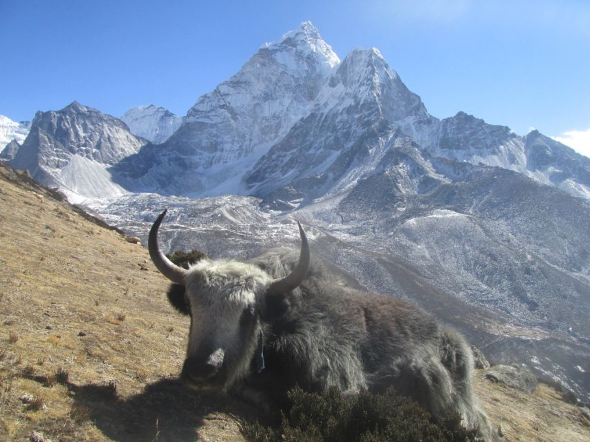 Everest Base Camp Trek Package - Inclusions
