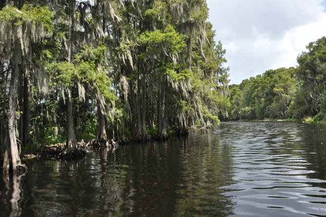 Everglades Airboat Tour Near Orlando Florida - Traveler Experience Details