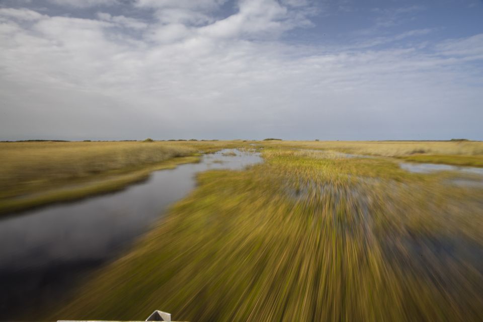 Everglades Day Safari From Fort Lauderdale - Activity Details