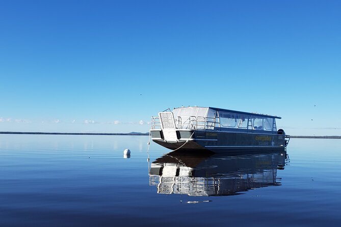 Everglades Explorer - Noosa Everglades Tour - Wildlife Encounters