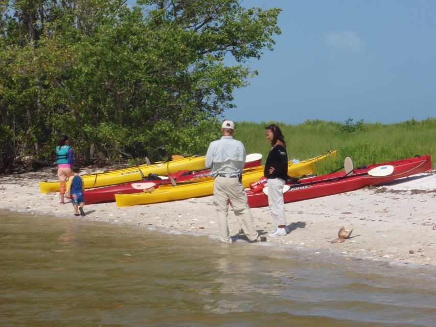Everglades National Park: Boat Assisted Kayak Eco Tour - Review Summary
