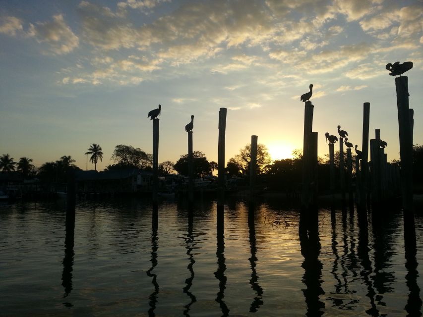 Everglades National Park: Motorboat Eco Tour - Location and Facilities