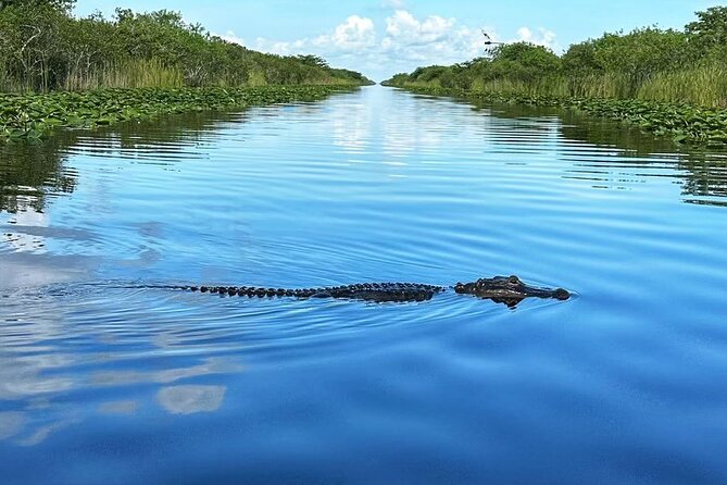 Everglades Tour From Miami With Transportation - Additional Information and Accessibility