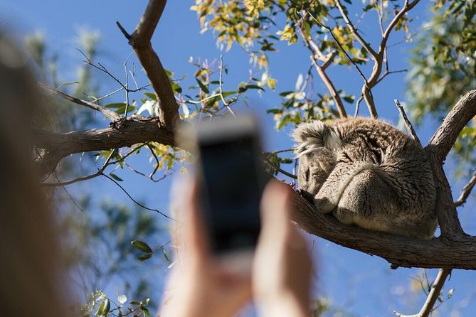 Exceptional Port Lincoln, Seafood and Wildlife Tour - Wildlife Encounter