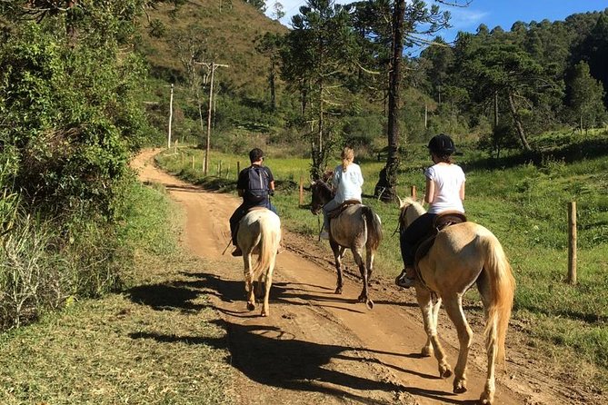 Exclusive Horse Experience With Pic-Nic at Belvedere - Customer Reviews