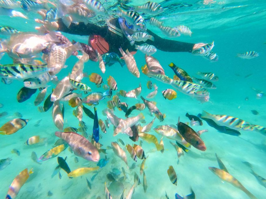 Exotic Escape Island : Pink Beach and Snorkeling Daily Tour - Booking Information