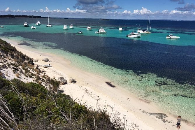 Experience Rottnest With Ferry & Bike Hire - Island Activities